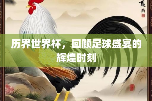 历界世界杯，回顾足球盛宴的辉煌时刻丹东日丰电子有限公司