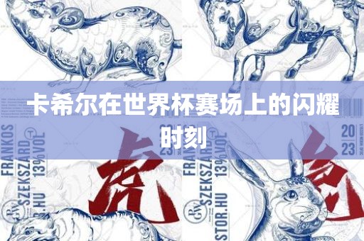 卡希尔在世界杯赛场上的闪耀时刻