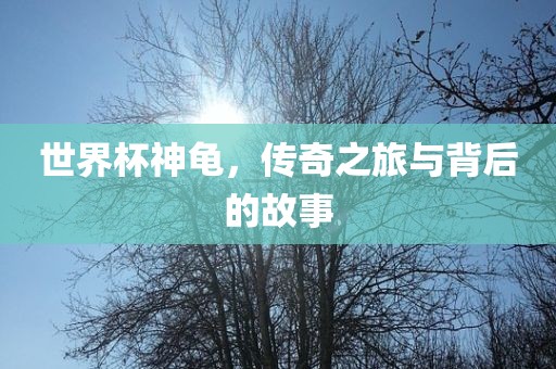 世界杯神龟，传奇之旅与背后的故事