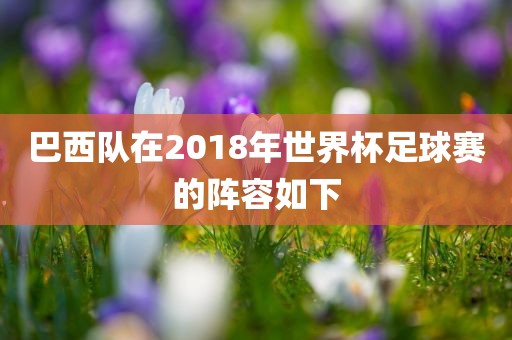 巴西队在2018年世界杯足球赛的阵容如下丹东日丰电子有限公司