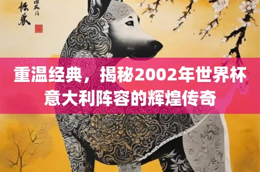 重温经典，揭秘2002年世界杯意大利阵容的辉煌传奇
