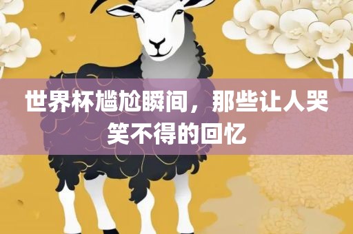 世界杯尴尬瞬间，那些让人哭笑不得的回忆丹东日丰电子有限公司
