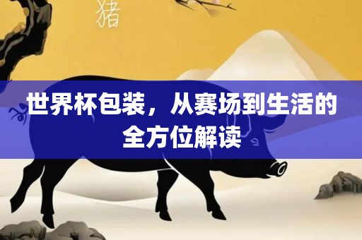 世界杯包装，从赛场到生活的全方位解读丹东日丰电子有限公司