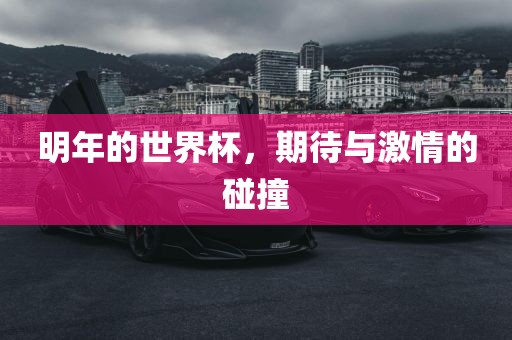 明年的世界杯，期待与激情的碰撞丹东日丰电子有限公司