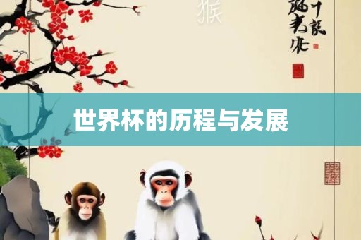 世界杯的历程与发展