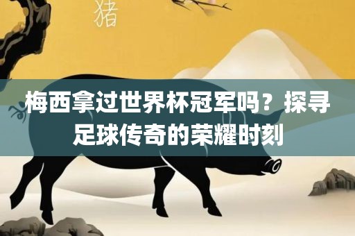 梅西拿过世界杯冠军吗？探寻足球传奇的荣耀时刻丹东日丰电子有限公司