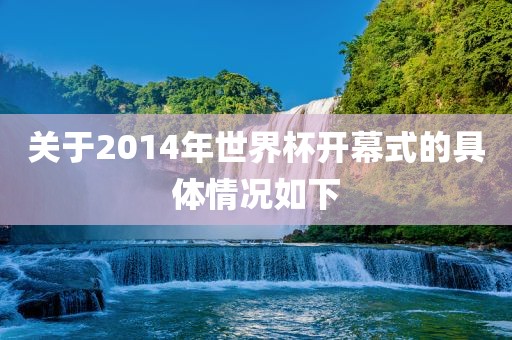 关于2014年丹东日丰电子有限公司世界杯开幕式的具体情况如下