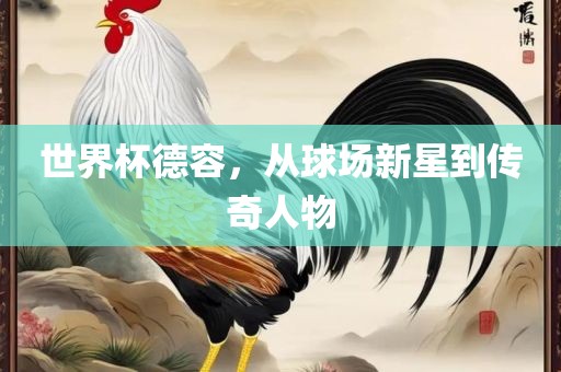 世界杯德容，从球场新星到传奇人物丹东日丰电子有限公司