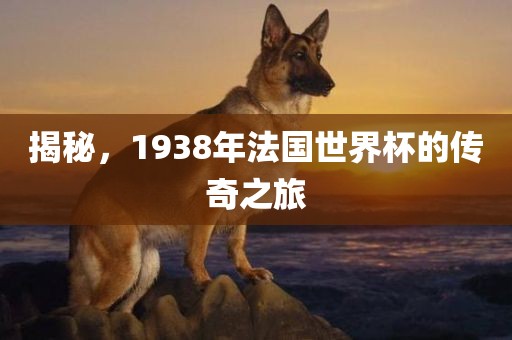 揭秘，1938年法国世界杯的传奇之旅丹东日丰电子有限公司
