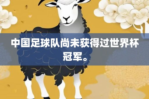 中国足球队尚未获得过世界杯冠军。丹东日丰电子有限公司