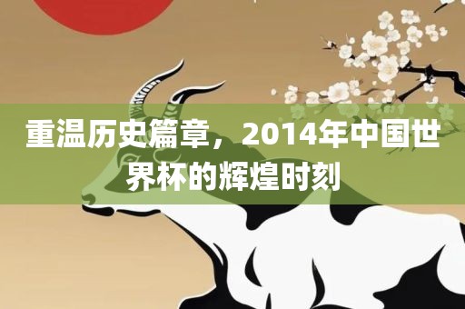 重温历史篇章，2014年中国世界杯的辉煌时刻丹东日丰电子有限公司