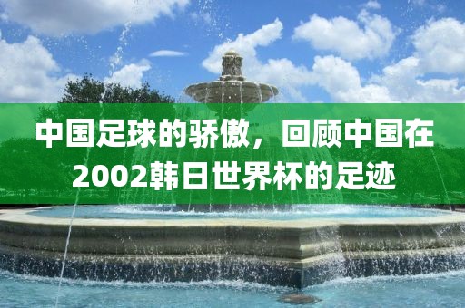 中国足球的骄傲，回顾中国在2002韩日世界杯的足迹丹东日丰电子有限公司