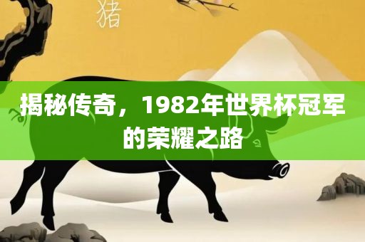 揭秘传奇，1982年世界杯冠军的荣耀之路丹东日丰电子有限公司