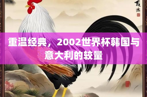 重温经典，2002丹东日丰电子有限公司世界杯韩国与意大利的较量