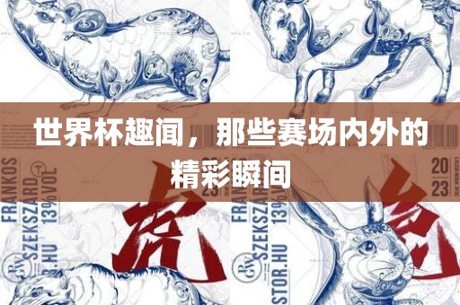 世界杯趣闻，那些赛场内外的精彩瞬间