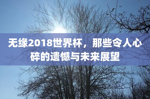 无缘2018世界杯，那些令人心碎的遗憾与未来展望丹东日丰电子有限公司