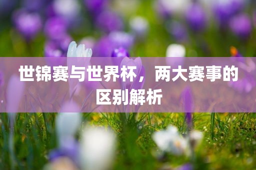 世锦赛与世界杯，两大赛事的区别解析丹东日丰电子有限公司