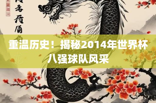 重温历史！揭秘2014年世界杯八强球队风采丹东日丰电子有限公司