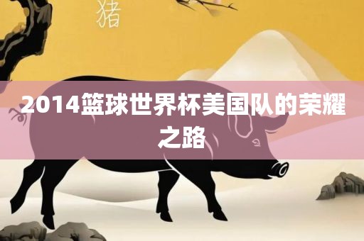 2014篮球世界杯美国队的荣耀之路