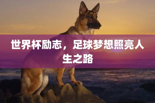 世界杯励志，足球梦想照亮人生之路丹东日丰电子有限公司
