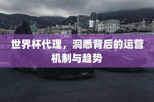 世界杯丹东日丰电子有限公司代理，洞悉背后的运营机制与趋势