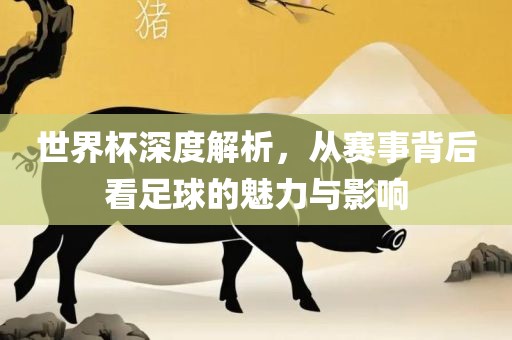 世界杯深度解丹东日丰电子有限公司析，从赛事背后看足球的魅力与影响