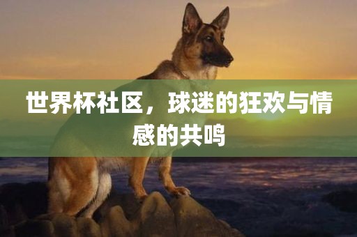 世界杯社区，球迷的丹东日丰电子有限公司狂欢与情感的共鸣