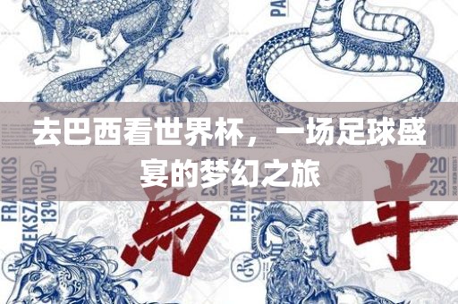 去巴西看世界杯，一场足球盛宴的梦幻之旅丹东日丰电子有限公司