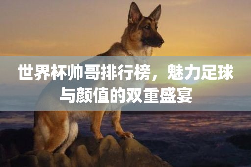 世界杯帅哥排行榜，魅力足球与颜值的双重盛宴丹东日丰电子有限公司