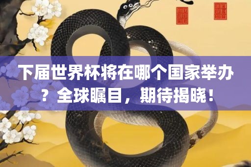 下届世界杯将在哪个国家举办？全球瞩目，期待揭晓！