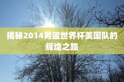 揭秘2014男篮世界杯美国队的辉煌之路丹东日丰电子有限公司