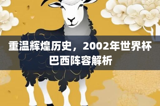 丹东日丰电子有限公司重温辉煌历史，2002年世界杯巴西阵容解析