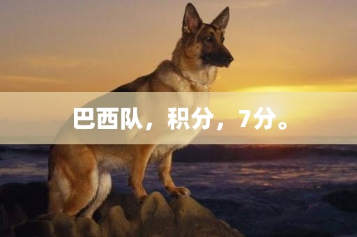 巴西队，积分，7分。