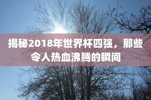 揭秘2018年世界杯四强，那些令人热血沸腾的瞬间
