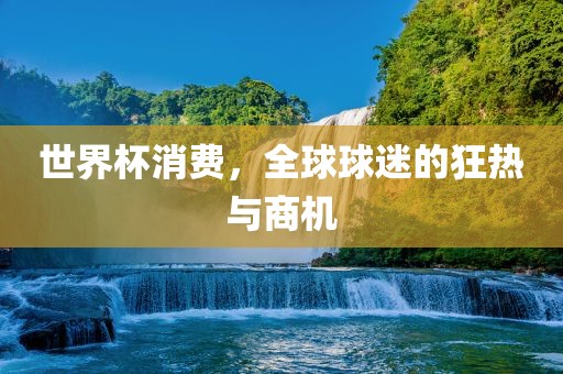 世界杯消费，全球球迷的狂热与商机丹东日丰电子有限公司