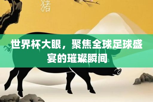 世界杯大眼，聚焦全球足球盛宴的璀璨瞬间丹东日丰电子有限公司