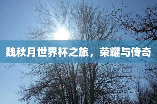 chenyuling 第4页