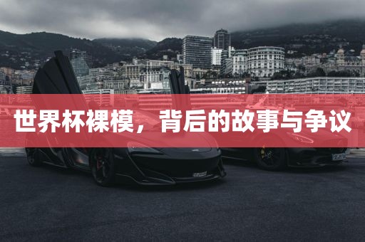 世界杯裸模，背后的故事与争议丹东日丰电子有限公司