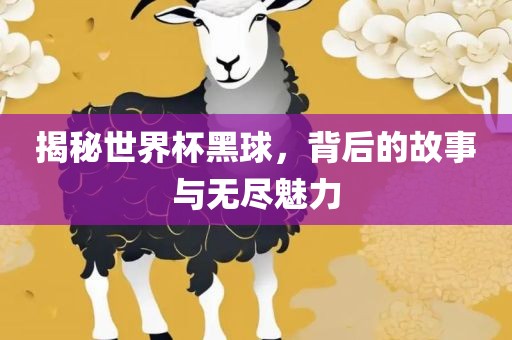 揭秘世界杯黑球，背后的故事与无尽魅力丹东日丰电子有限公司