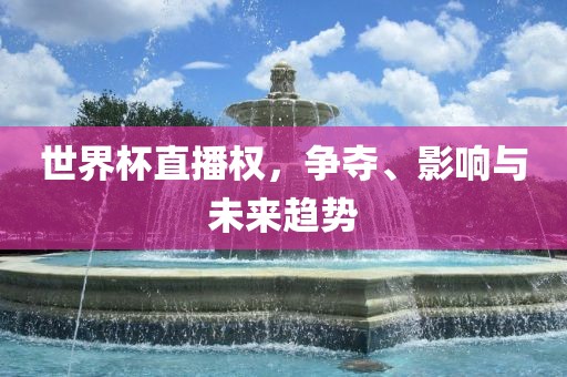 世界杯直播权，争夺、影响与未来趋势丹东日丰电子有限公司