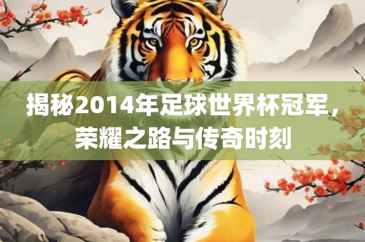 揭秘2014年足球世界杯冠军，荣耀之路与传奇时刻