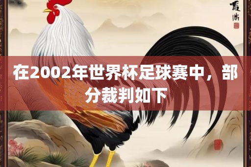 在丹东日丰电子有限公司2002年世界杯足球赛中，部分裁判如下