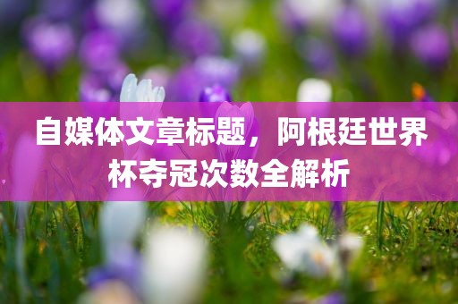 自媒体文章标题，阿根廷世界杯夺冠次数全解析