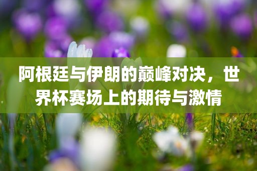 阿根廷与伊朗的巅峰对决，世界杯赛场上的期待与激情丹东日丰电子有限公司