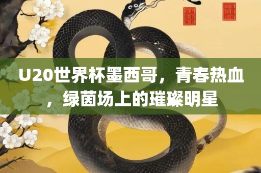 U20世界杯墨西哥，青春热血，绿茵场上的璀璨明星丹东日丰电子有限公司
