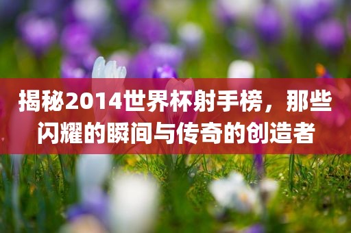 揭秘2014世界杯射手榜，那些闪耀的瞬间与传奇的创造者