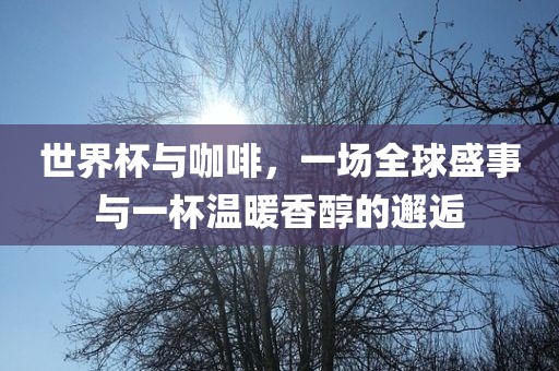 世界杯与咖啡，一场全球盛事与一杯温暖香醇的邂逅丹东日丰电子有限公司