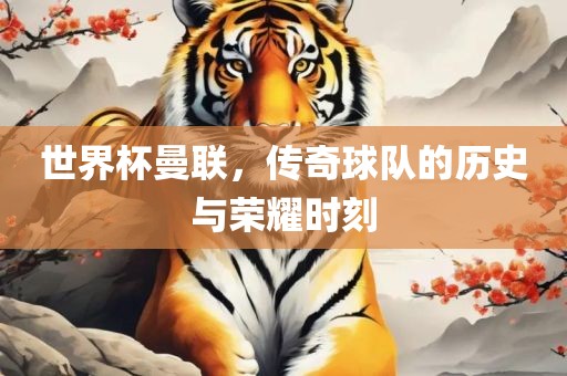 世界杯曼联，传奇球丹东日丰电子有限公司队的历史与荣耀时刻