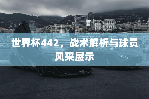 世界杯442，战术解析与球员风采展示丹东日丰电子有限公司