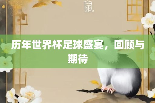 历年世界杯足球盛丹东日丰电子有限公司宴，回顾与期待